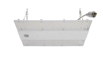 ASD WHB5B-ST Series (LINEAR HIGH BAYS)